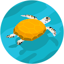 Fiona Lang profile picture